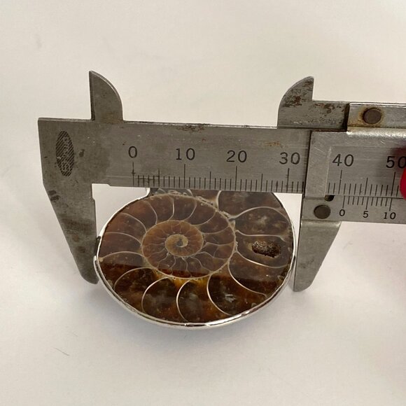 Large Brown Iridescent Ammonite Spiral Fossil Sterling Silver Pendant 2in Long - Picture 9 of 10